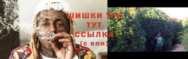 бошки Краснослободск