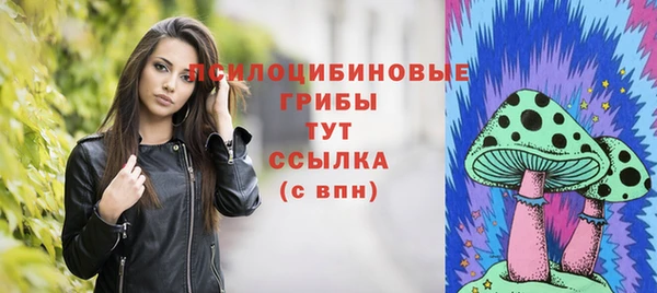 бошки Краснослободск
