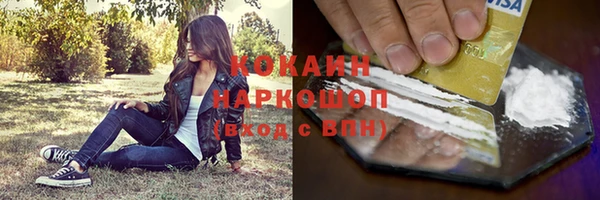 бошки Краснослободск
