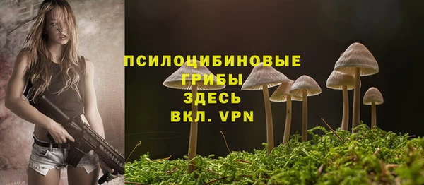 бошки Краснослободск